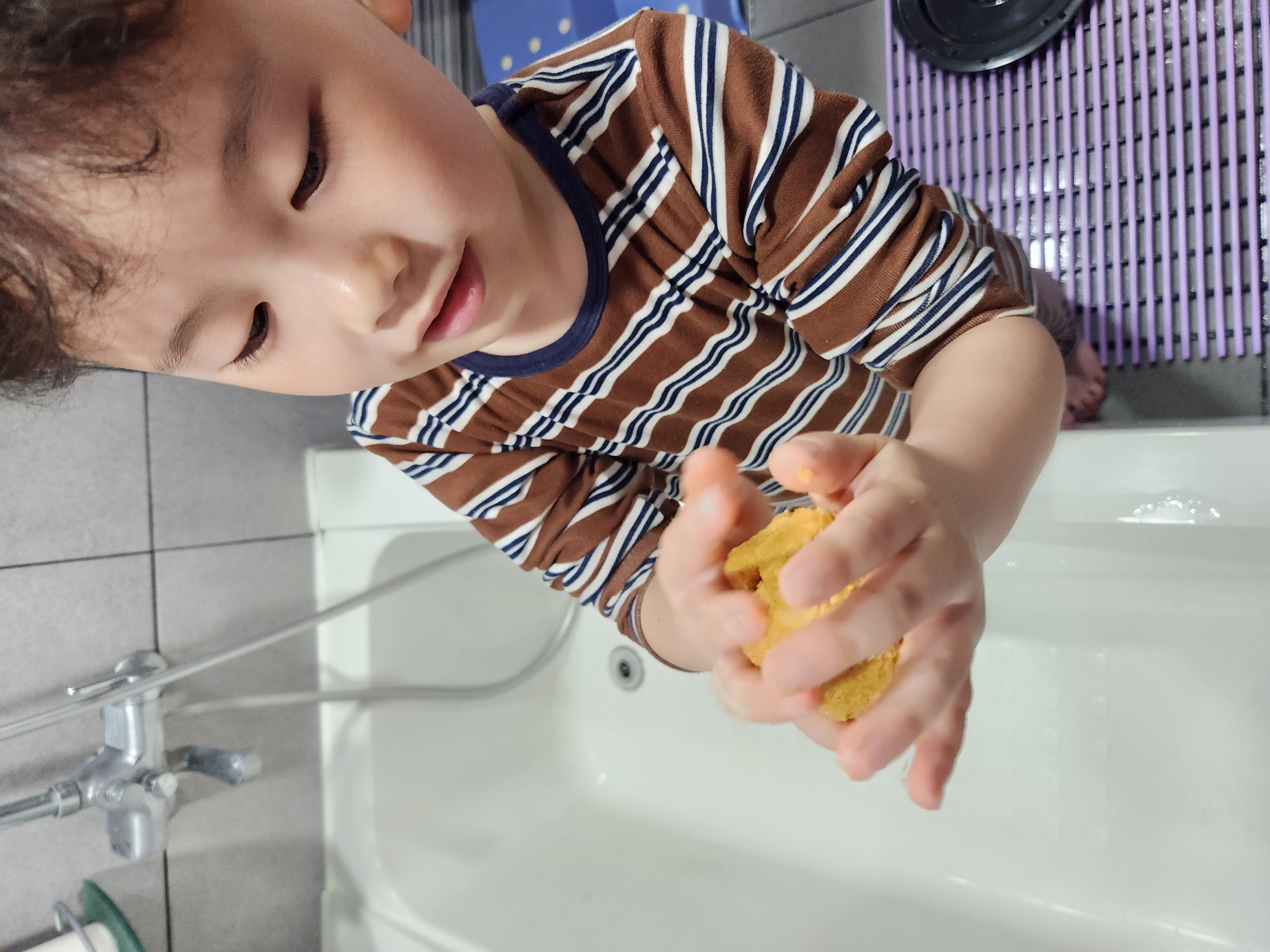 감귤지점토